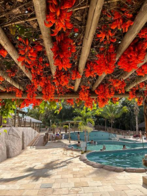 Apartamento Thermas do Bosque